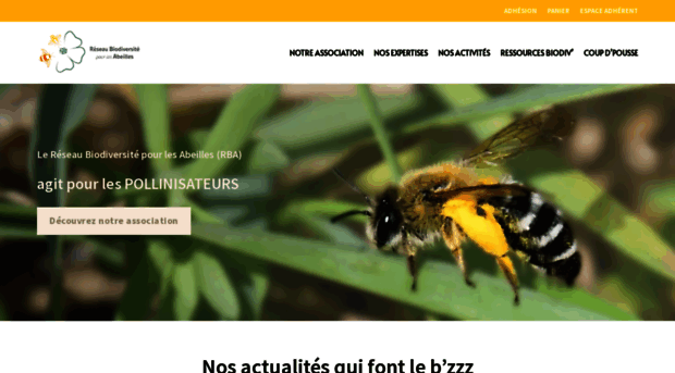 jacheres-apicoles.fr
