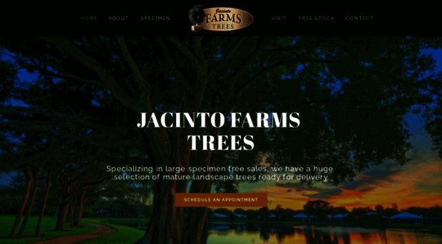 jacintofarmstrees.com