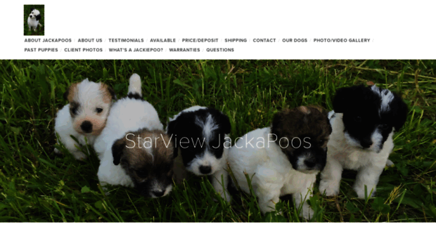 jackapoos.com