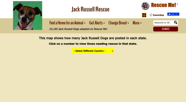 jackrussell.rescueme.org