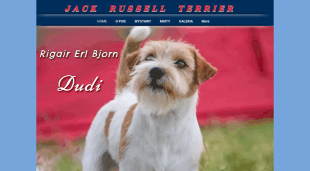 jackrusselldudi.com