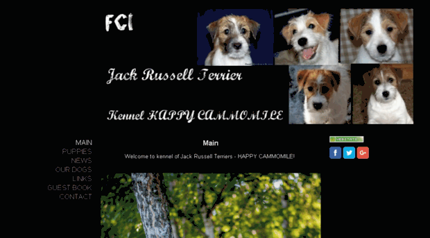 jackrussellterrier-ru.jimdo.com