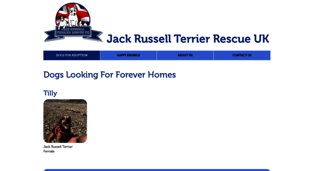 jackrussellterrierrescueuk.org