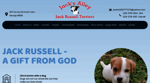 jacksalley.com