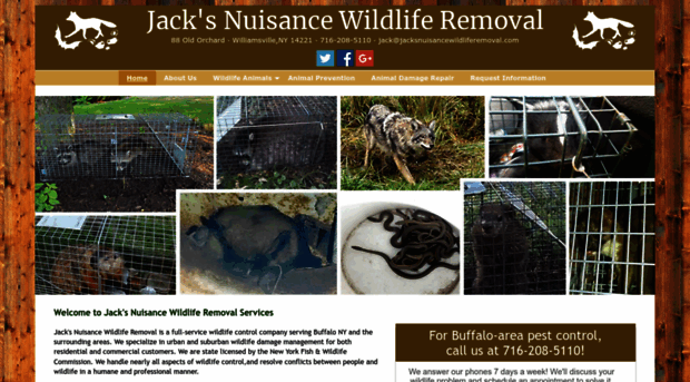 jacksnuisancewildliferemoval.com