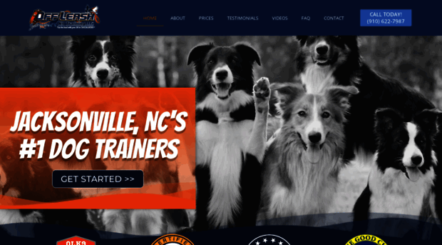 jacksonvillencdogtraining.com