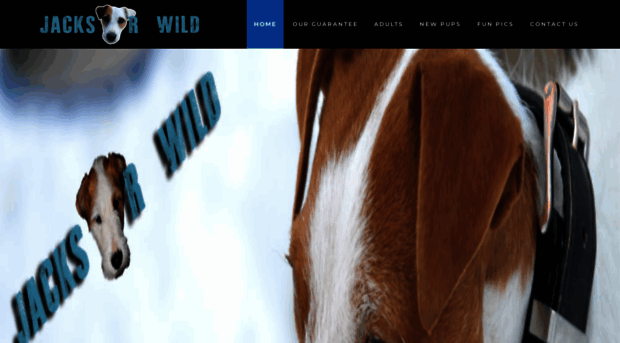jacksrwild.ca