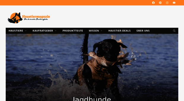 jagdhundeforum.de