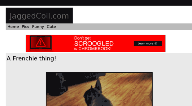 jaggedcoil.com