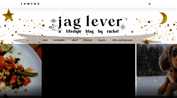 jaglever.com