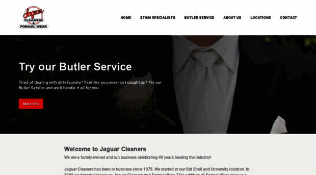 jaguarcleaners.com