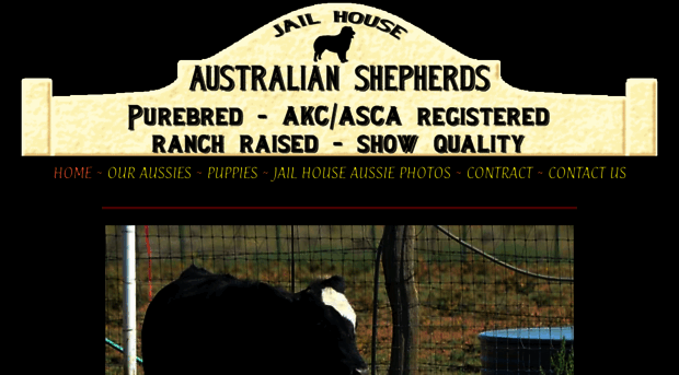 jailhouseaussies.com