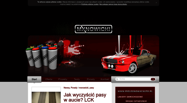 jak.pielegnowacauto.pl