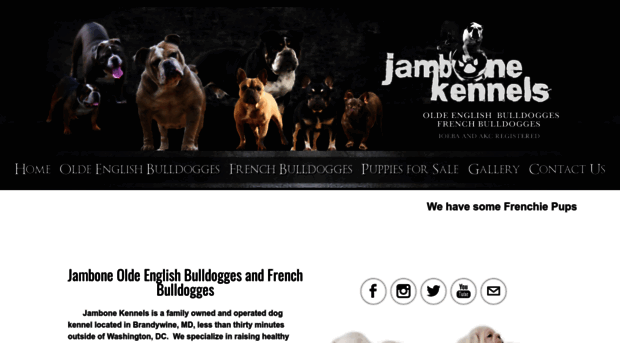 jambonekennels.com