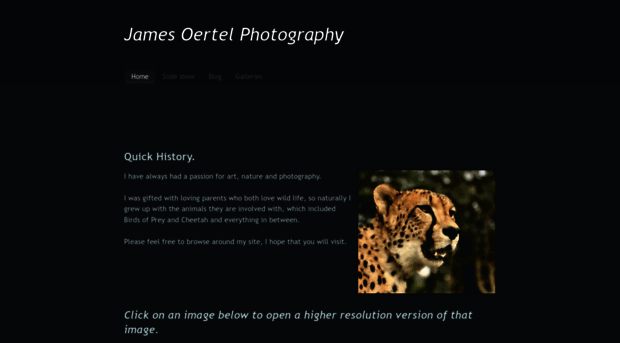 jamesoertelphotography.weebly.com