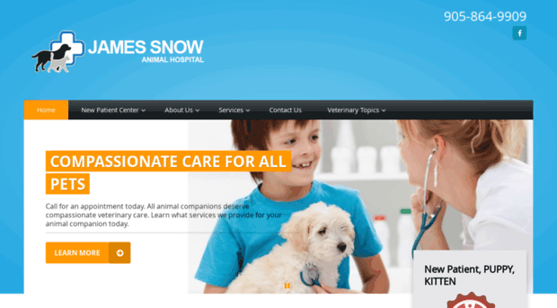 jamessnowvet.com