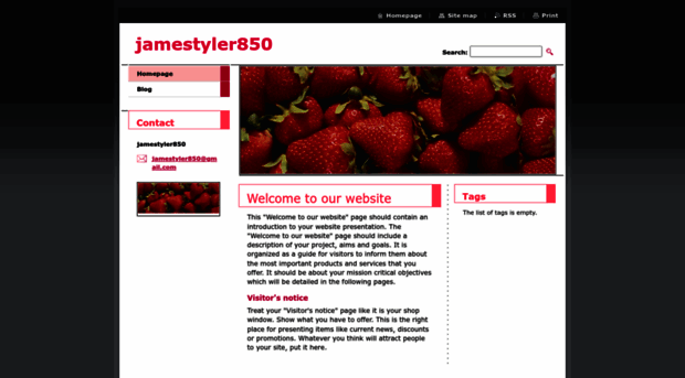 jamestyler850.webnode.com