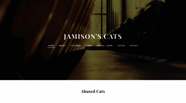 jamisonlovescats.weebly.com