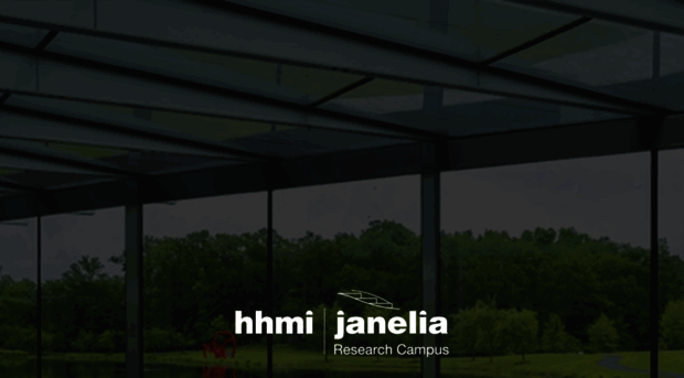 janelia.org