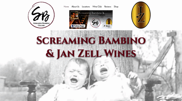 janzellwines.com