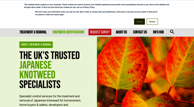 japaneseknotweed.co.uk