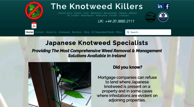 japaneseknotweedkillers.com