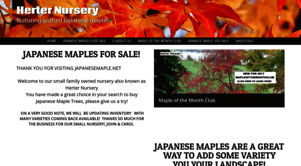 japanesemaple.net