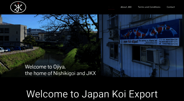 japankoiexport.com