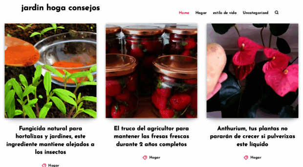 jardinyhogarconsejos.com