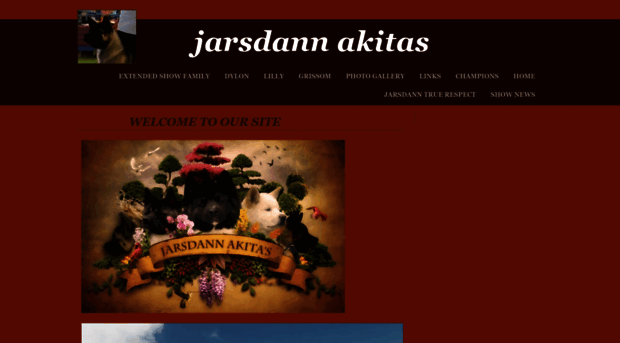 jarsdann.webs.com
