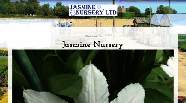 jasminenurseries.co.uk