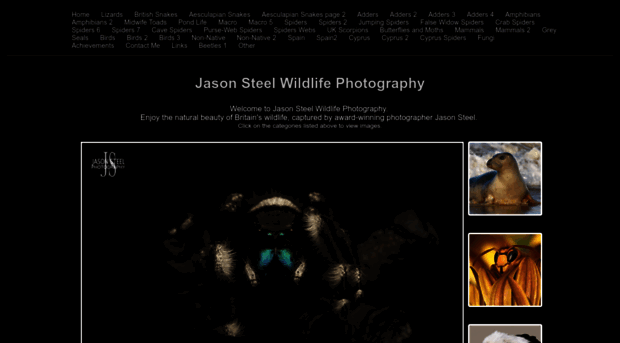 jasonsteelwildlifephotography.yolasite.com