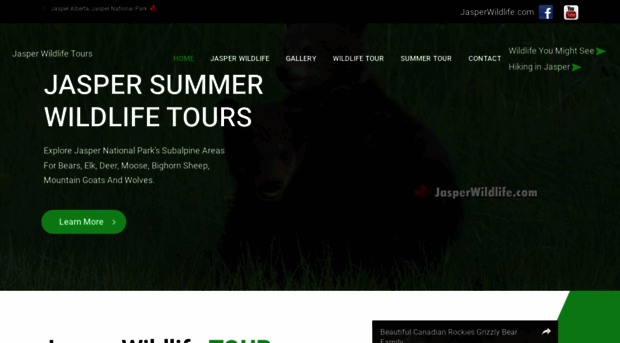 jasperwildlife.com