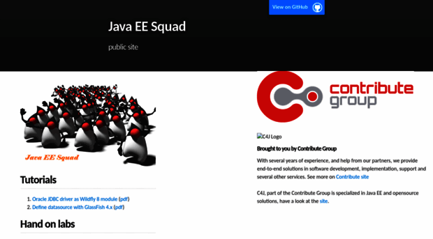 javaeesquad.github.io