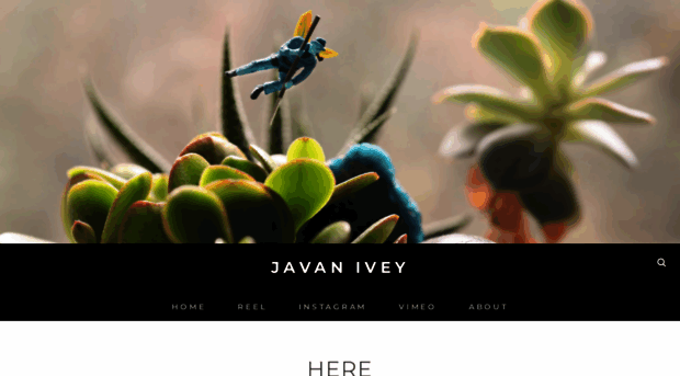 javanivey.com