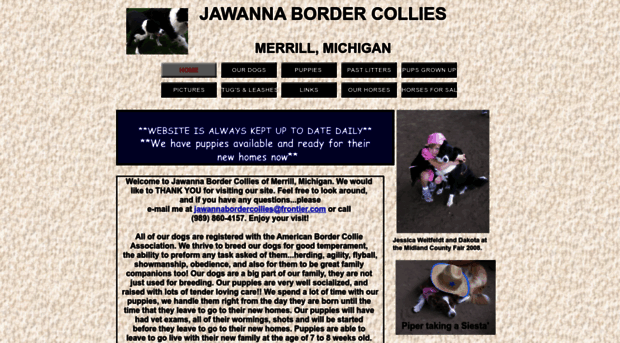 jawannabordercollies.com