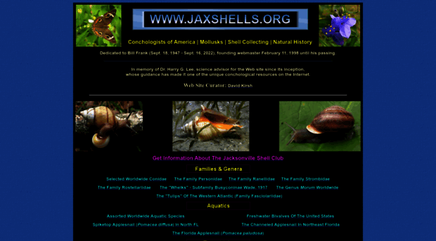 jaxshells.org