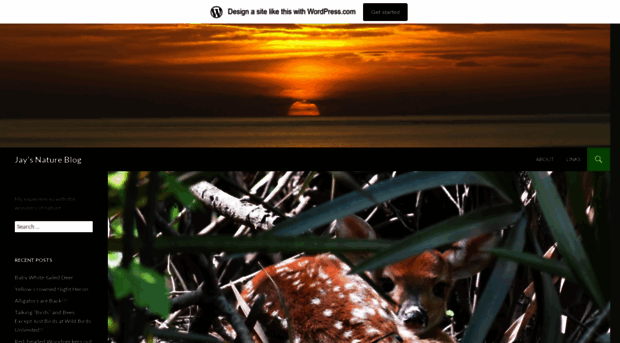 jaysnatureblog.wordpress.com