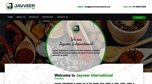 jayveerinternational.com