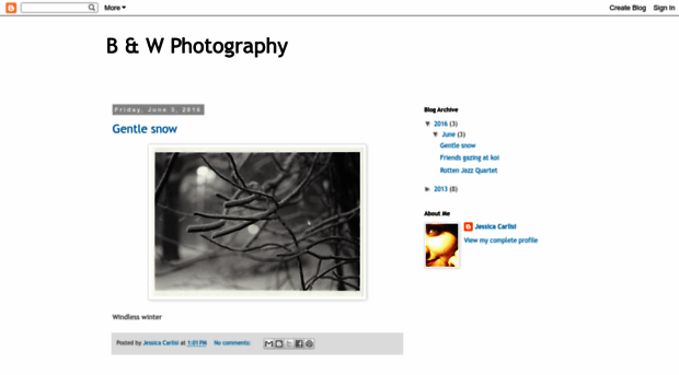 jcarlisiphotoii.blogspot.com