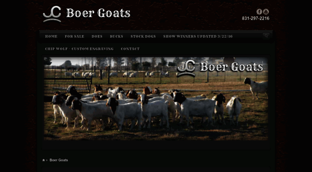 jcboergoats.com