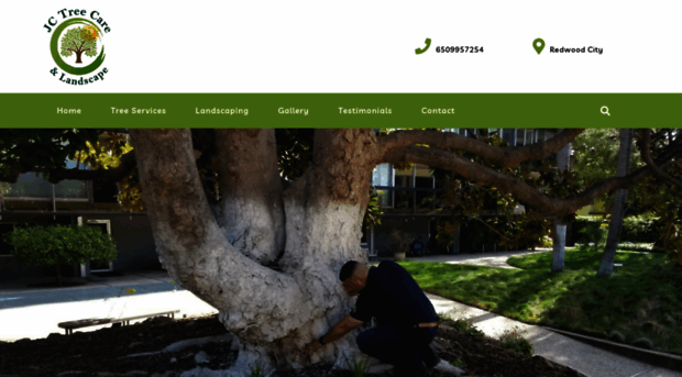 jctreecarelandscape.com