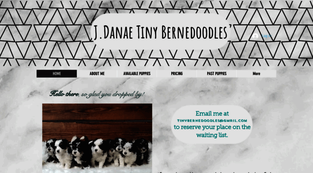 jdanaetinybernedoodles.com