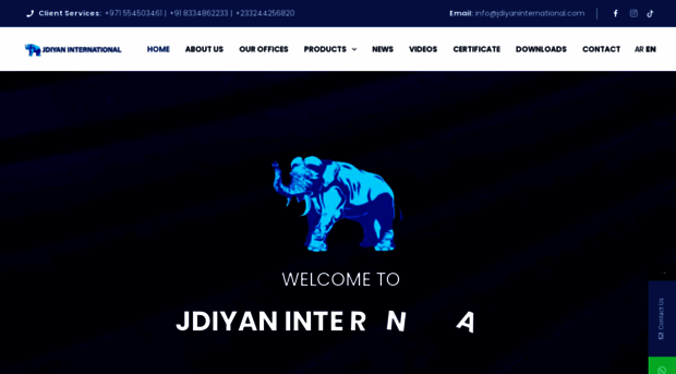 jdiyaninternational.com