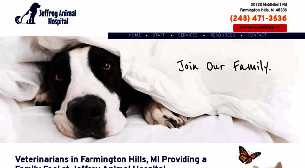 jeffreyanimalhospital.net