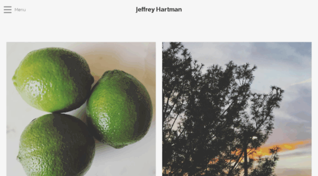 jeffreyhartman.com