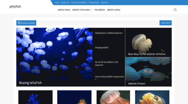 jellyfish-ai.com