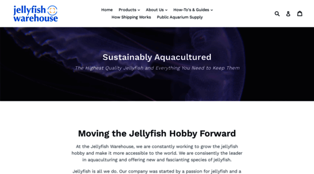 jellyfishwarehouse.com