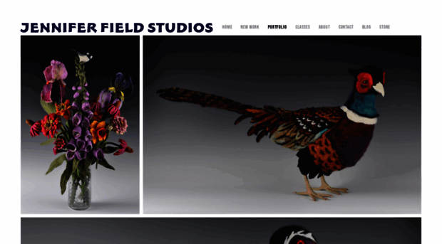 jenniferfieldstudios.com