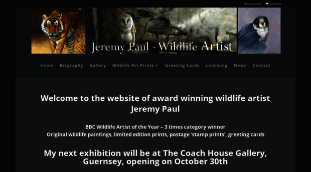 jeremypaulwildlifeartist.co.uk